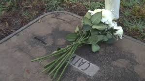 Raymond Shebell Accident, New Jersey, Death